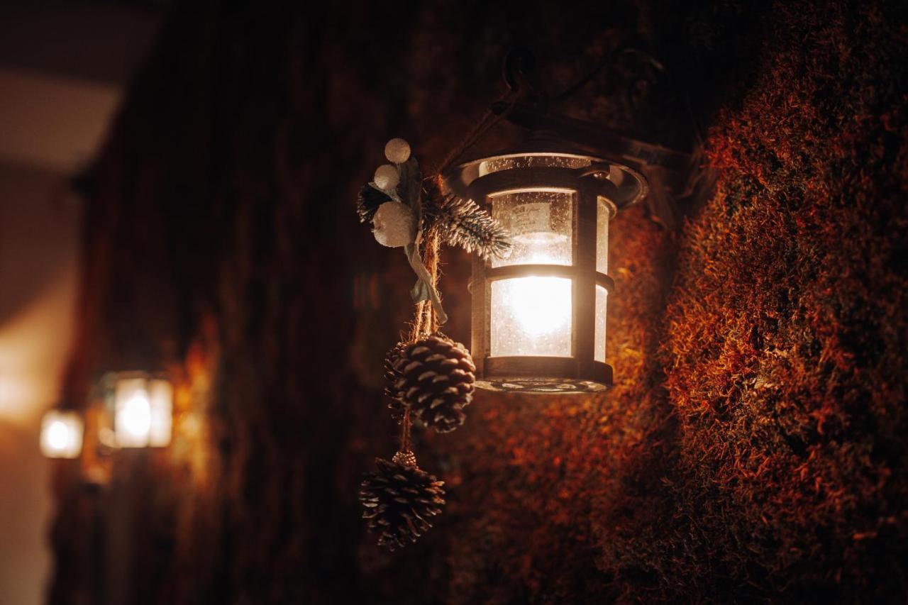 Tree Hotel كورتشي المظهر الخارجي الصورة